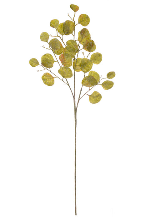 35" Eucalyptus Spray Green
