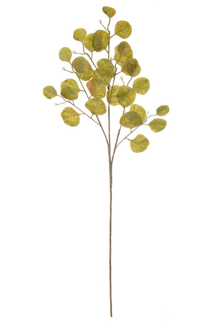 35" Eucalyptus Spray Green