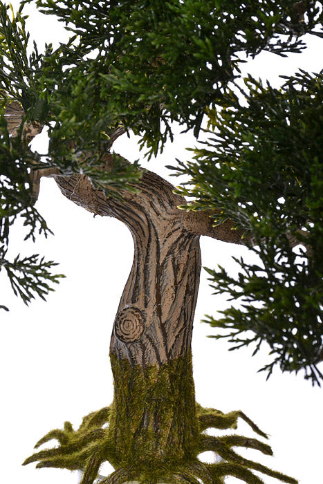 16" Cedar Bonsai Green