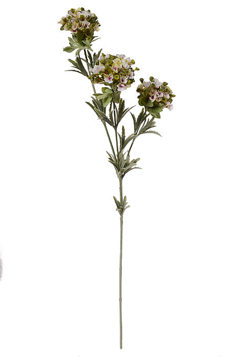 32&quot; Silk Sweet Alyssum Spray White