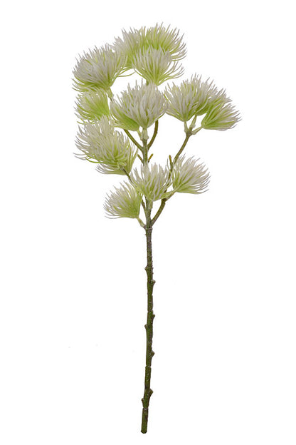 19" Thistle Spray Cream