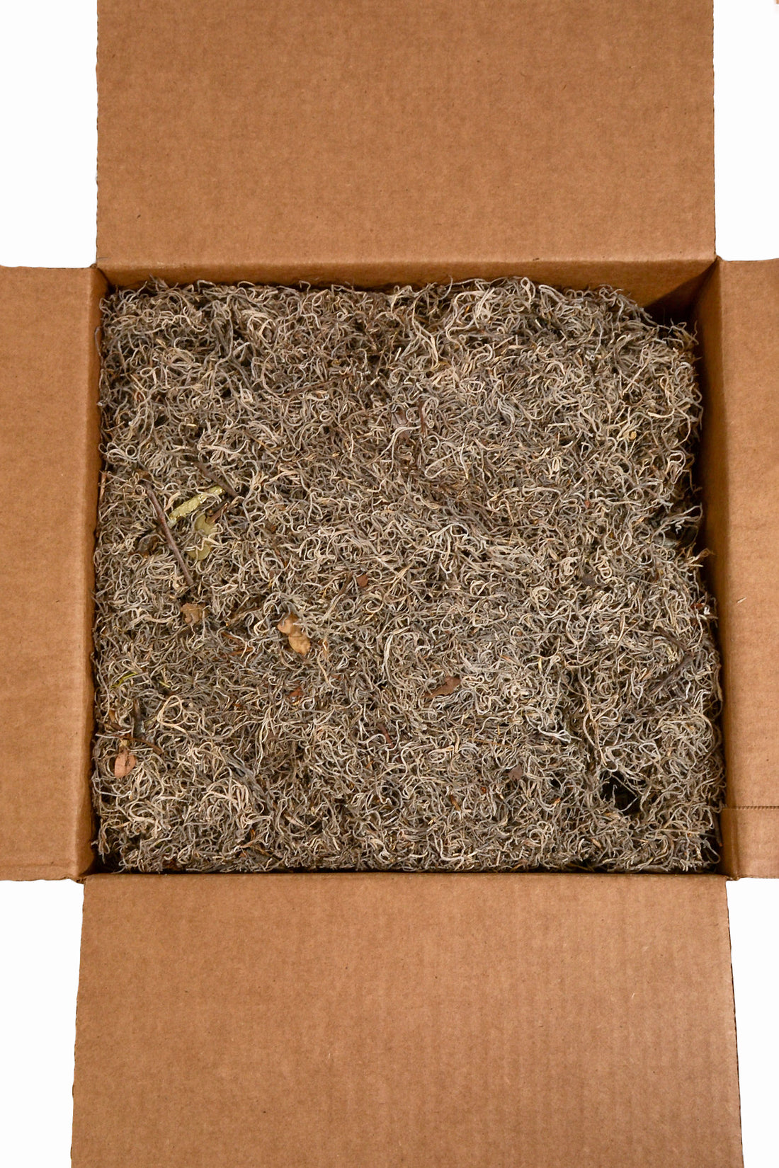 Spanish Moss Natural  BX/2.4LB