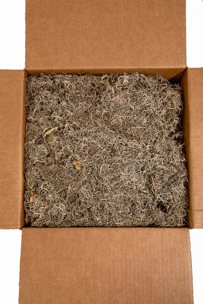 Spanish Moss Natural  BX/2.4LB