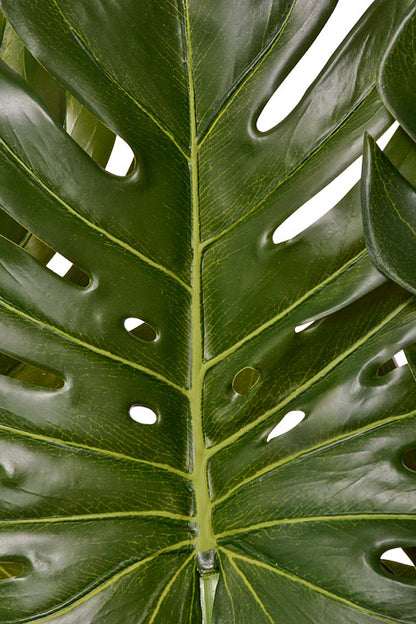 48" Split Philo Plant In Pot Green