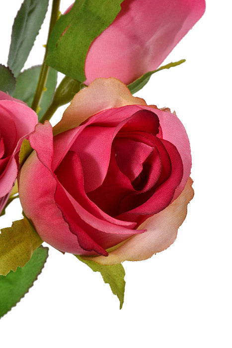 17.5&quot; Rose Bouquet Beauty