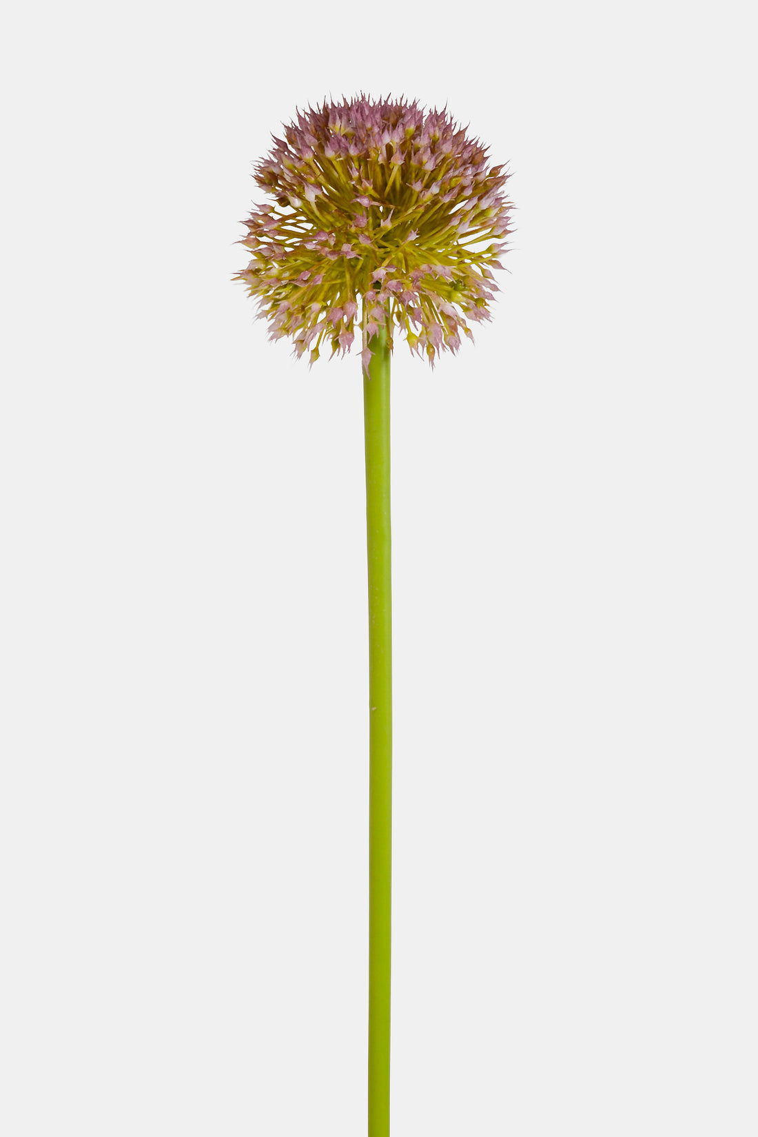 32.5" Alliums Spray White/Lavender