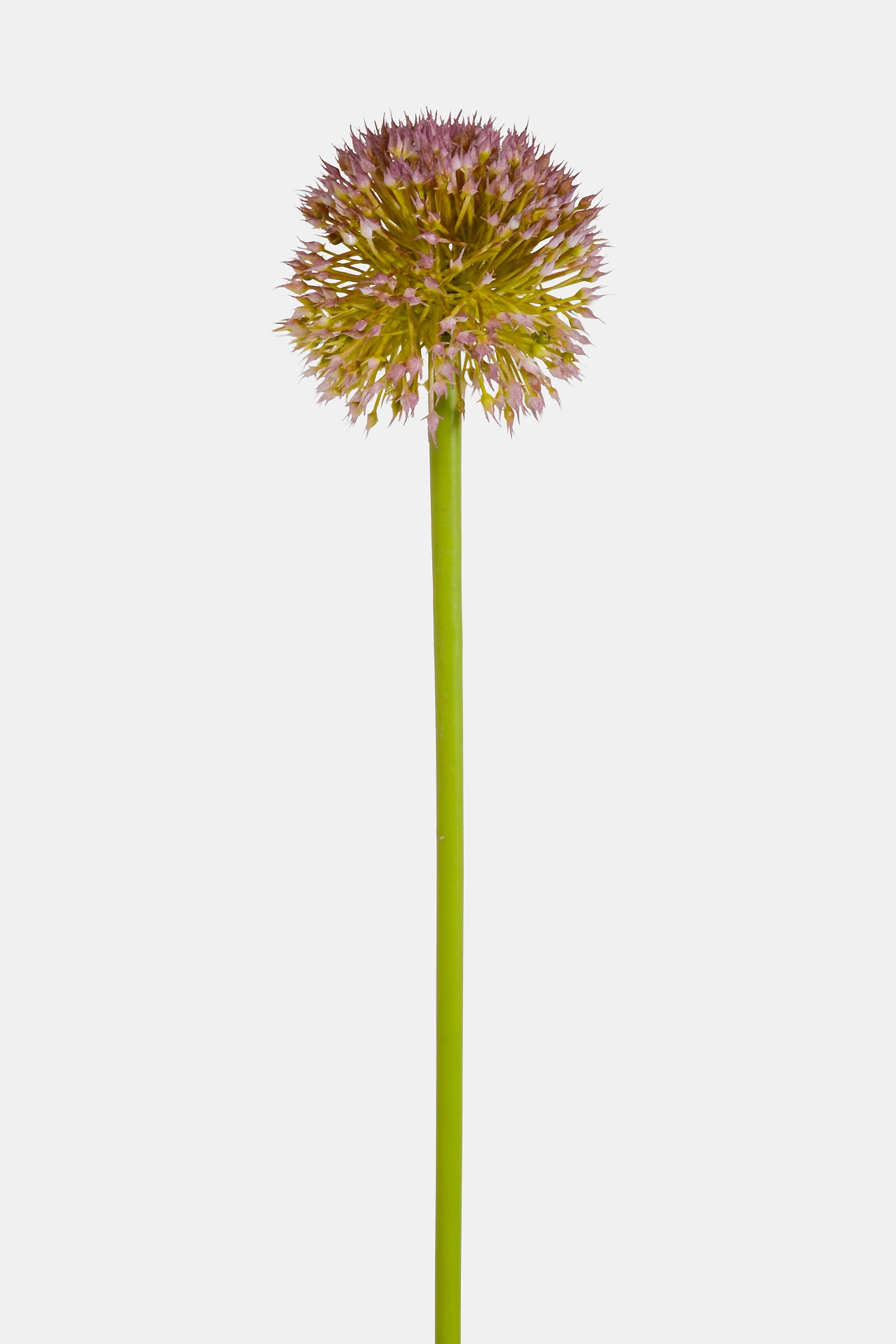 32.5" Alliums Spray White/Lavender