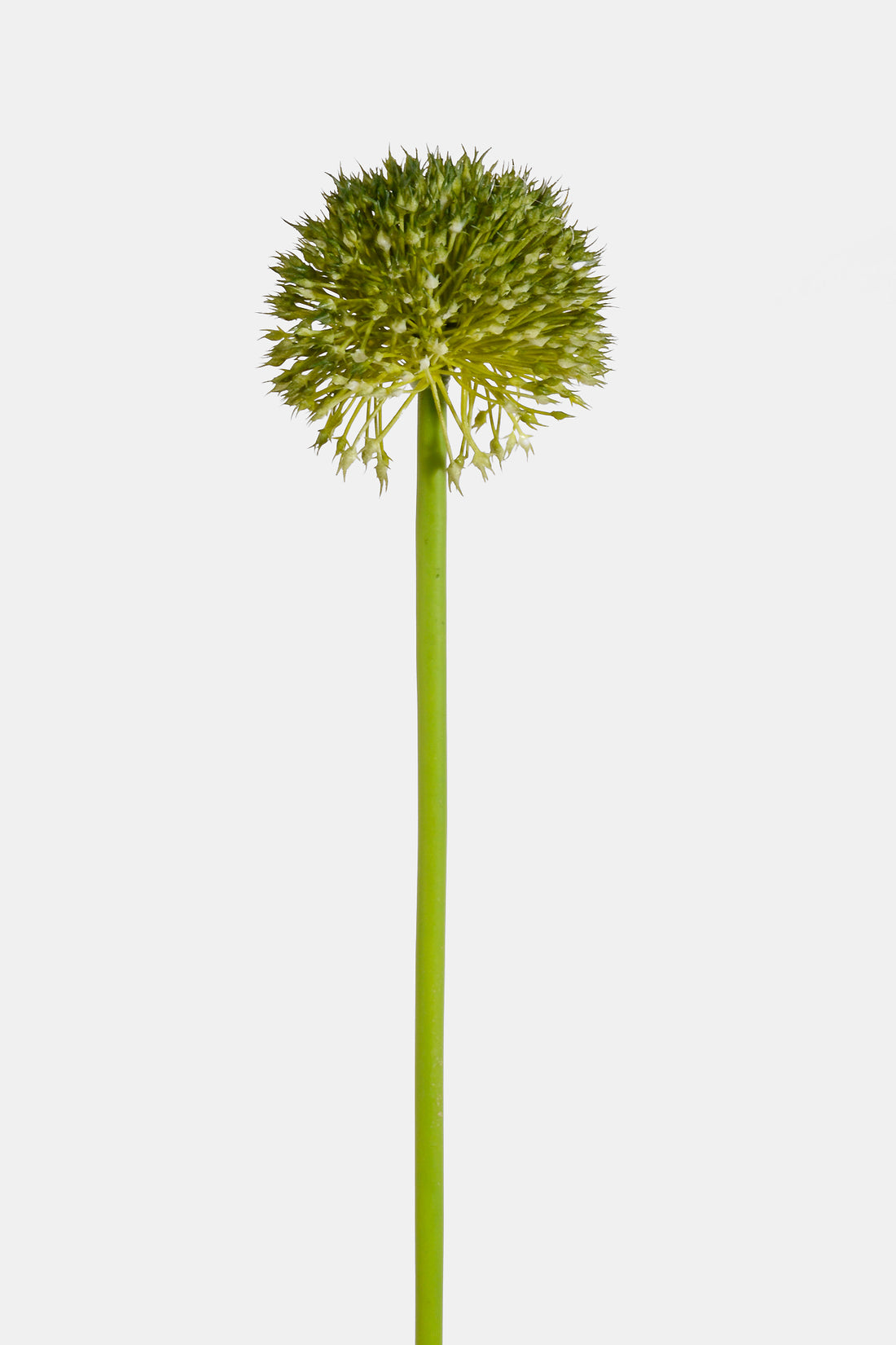 32.5" Artificial Alliums Spray Green