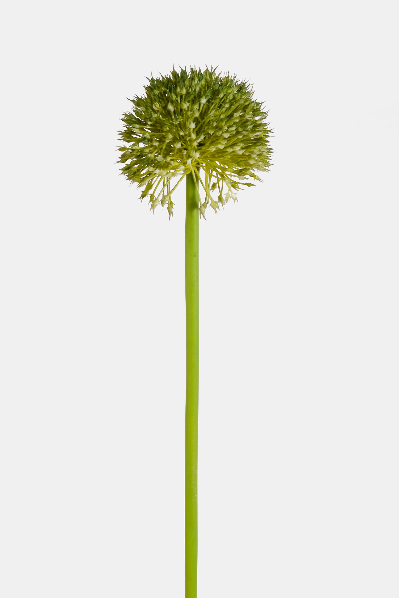 32.5" Artificial Alliums Spray Green