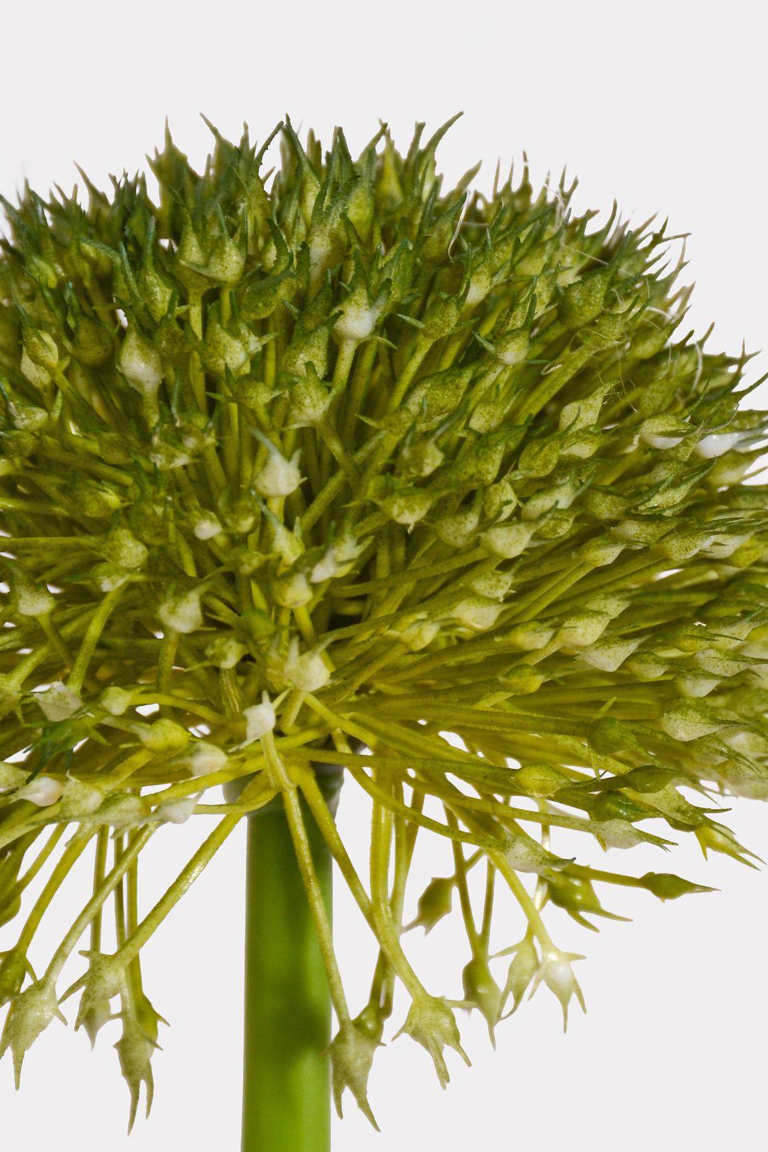 32.5" Artificial Alliums Spray Green