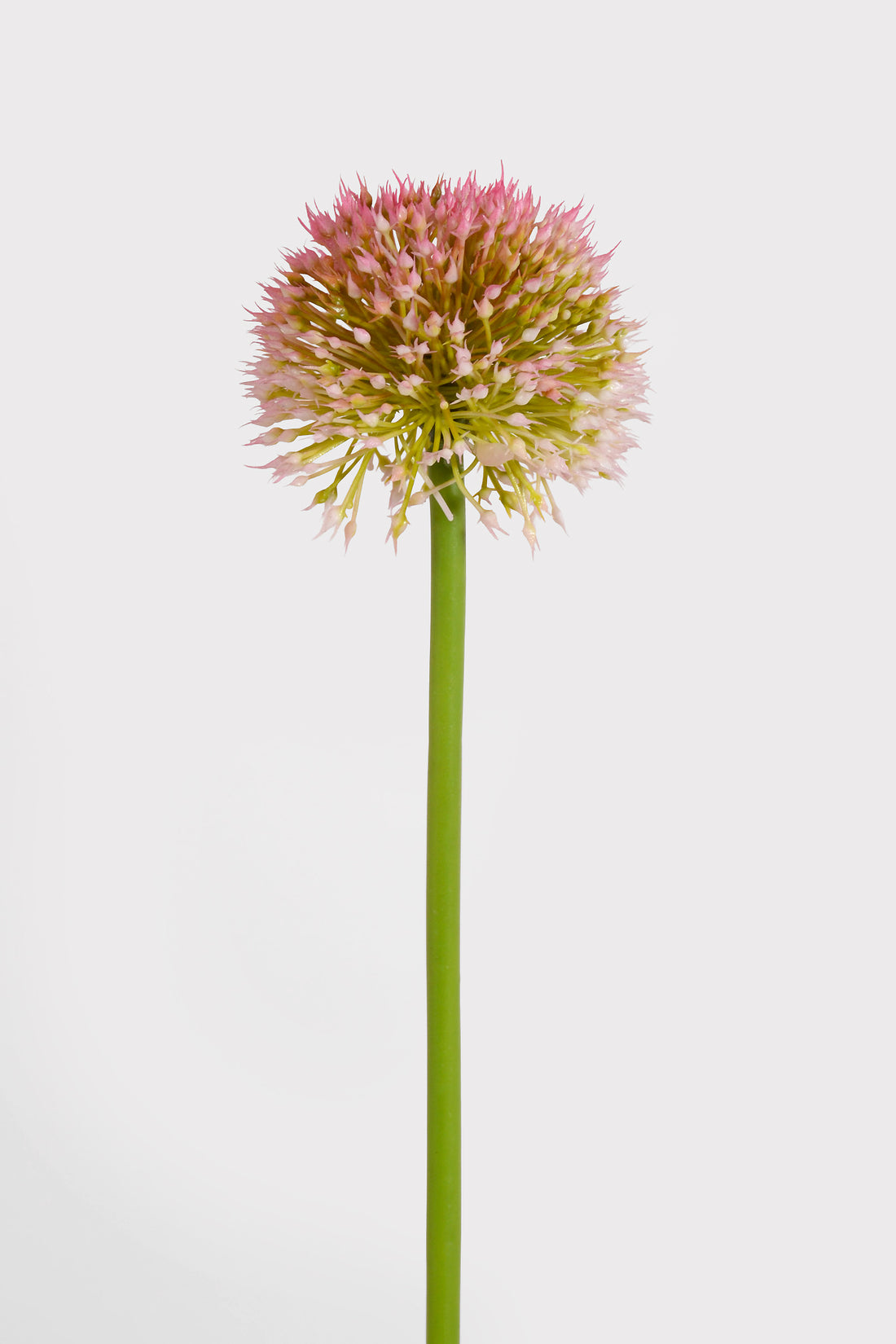 32.5" Alliums Spray Pink