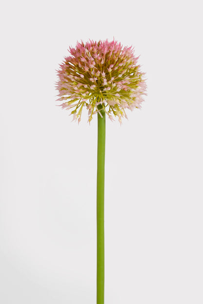 32.5" Alliums Spray Pink