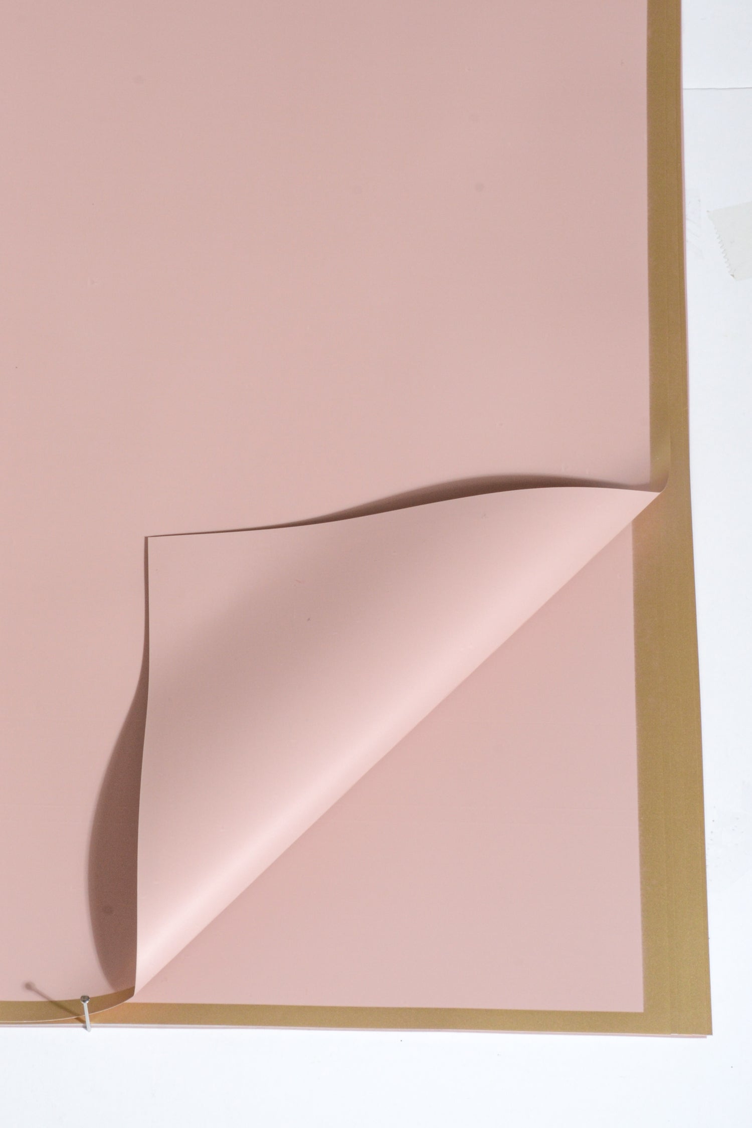 22.5" Gold Edge Flower Wrap Paper Blush Pkg/20