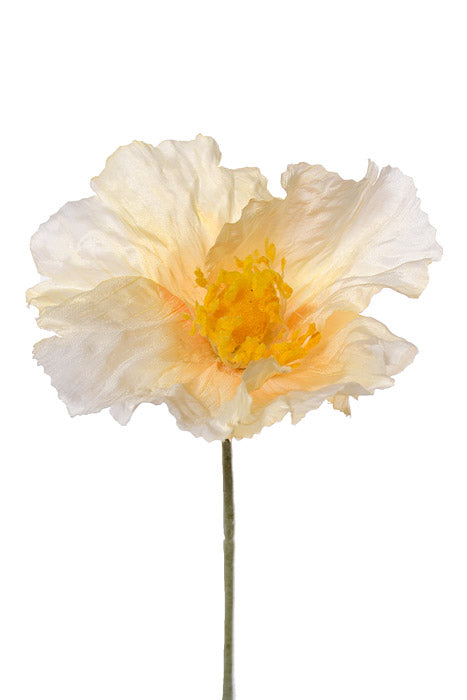 28.5&quot; Poppy Spray Champagne