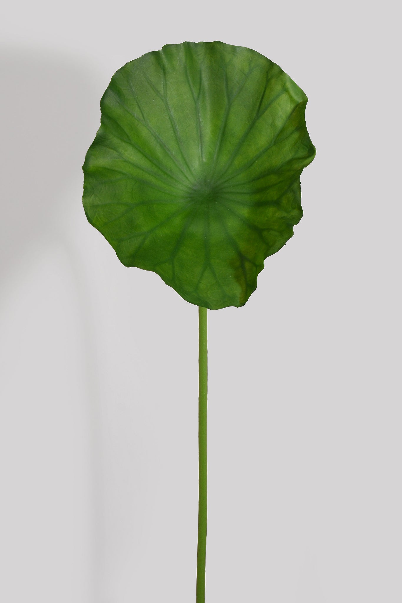 27.5" Artificial Lotus Leaf Stem Green