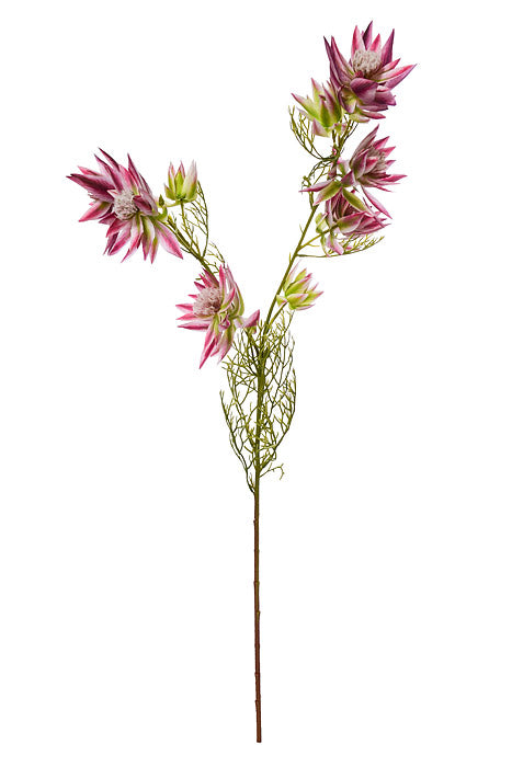 25.5" Silk Serruria Florida Spray Beauty