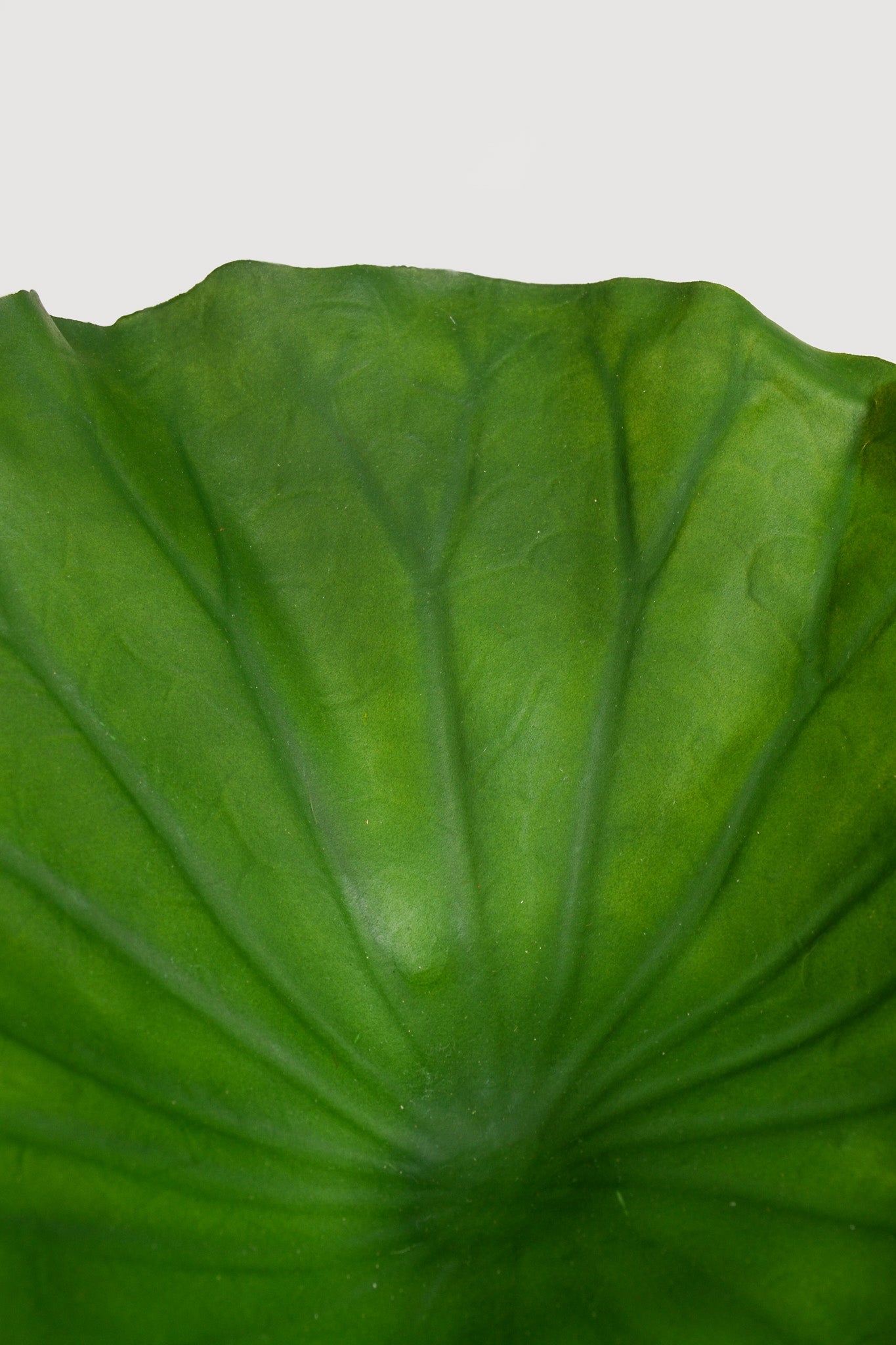 27.5" Artificial Lotus Leaf Stem Green