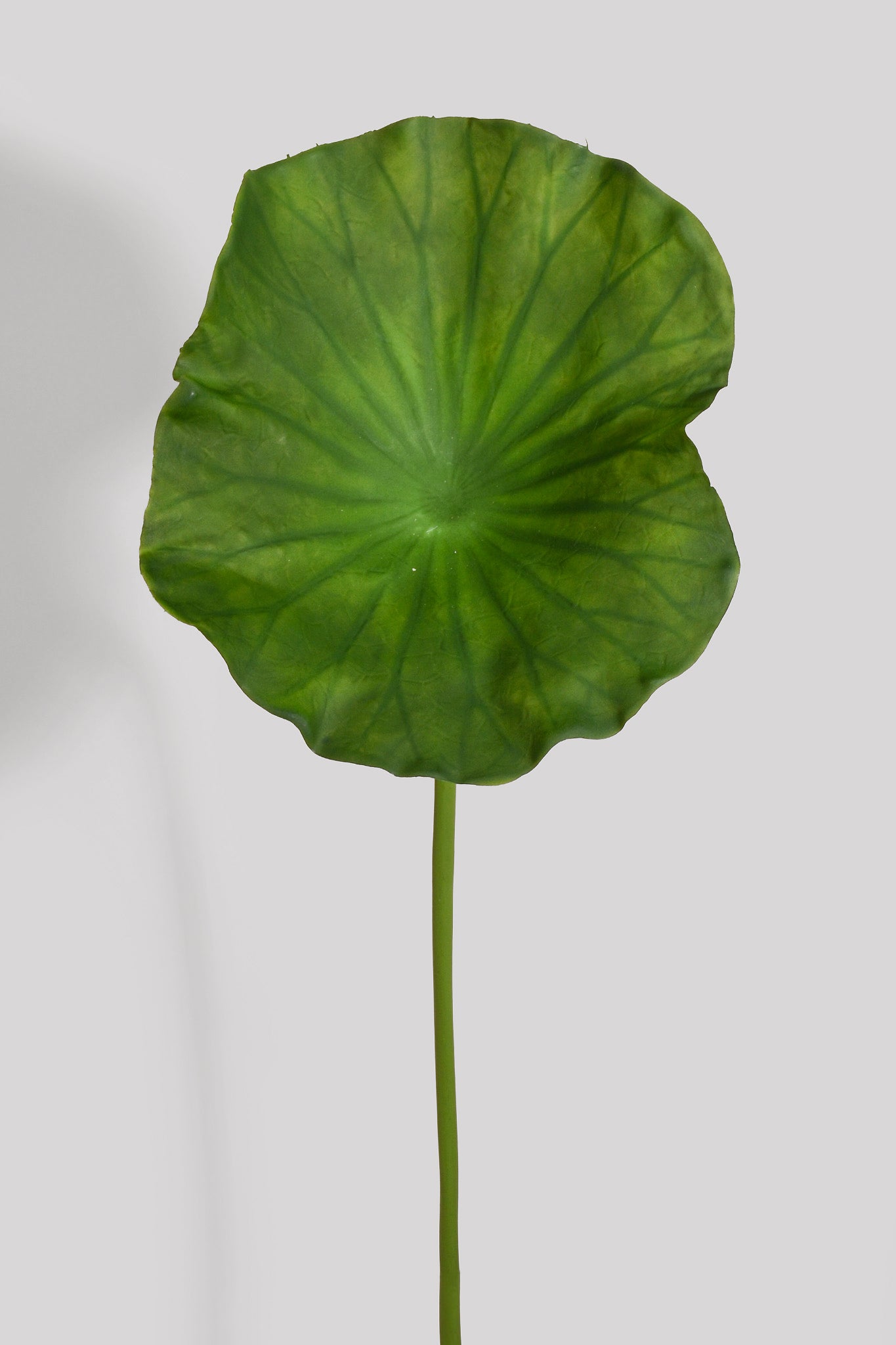 34.6" Artificial Lotus Leaf Stem Green