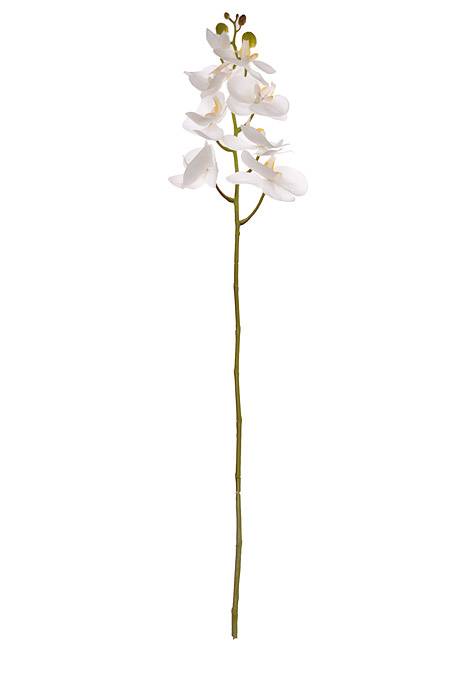 40" Silk Phalaenopsis Spray White