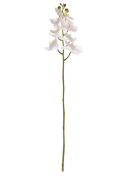 40" Silk Phalaenopsis Spray White