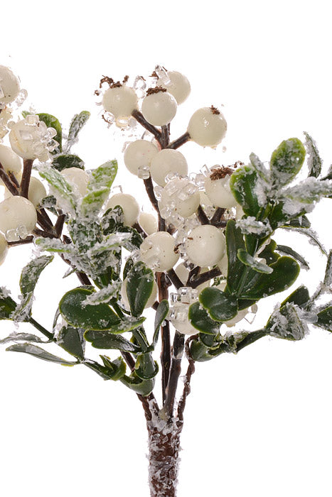8" Iced Berry/Boxwood Pick Cream