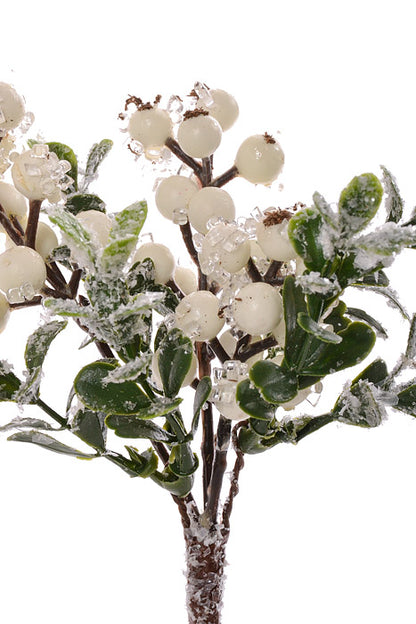 8" Iced Berry/Boxwood Pick Cream