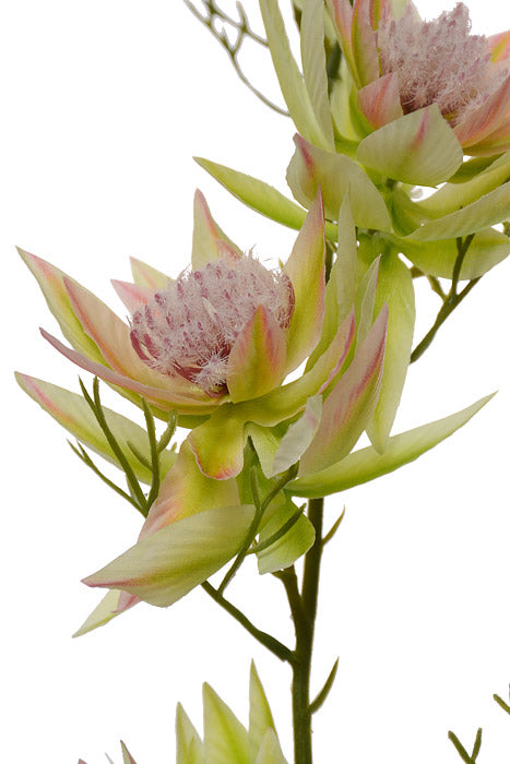 25.5" Silk Serruria Florida Spray Green