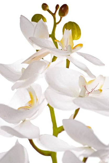 40" Silk Phalaenopsis Spray White