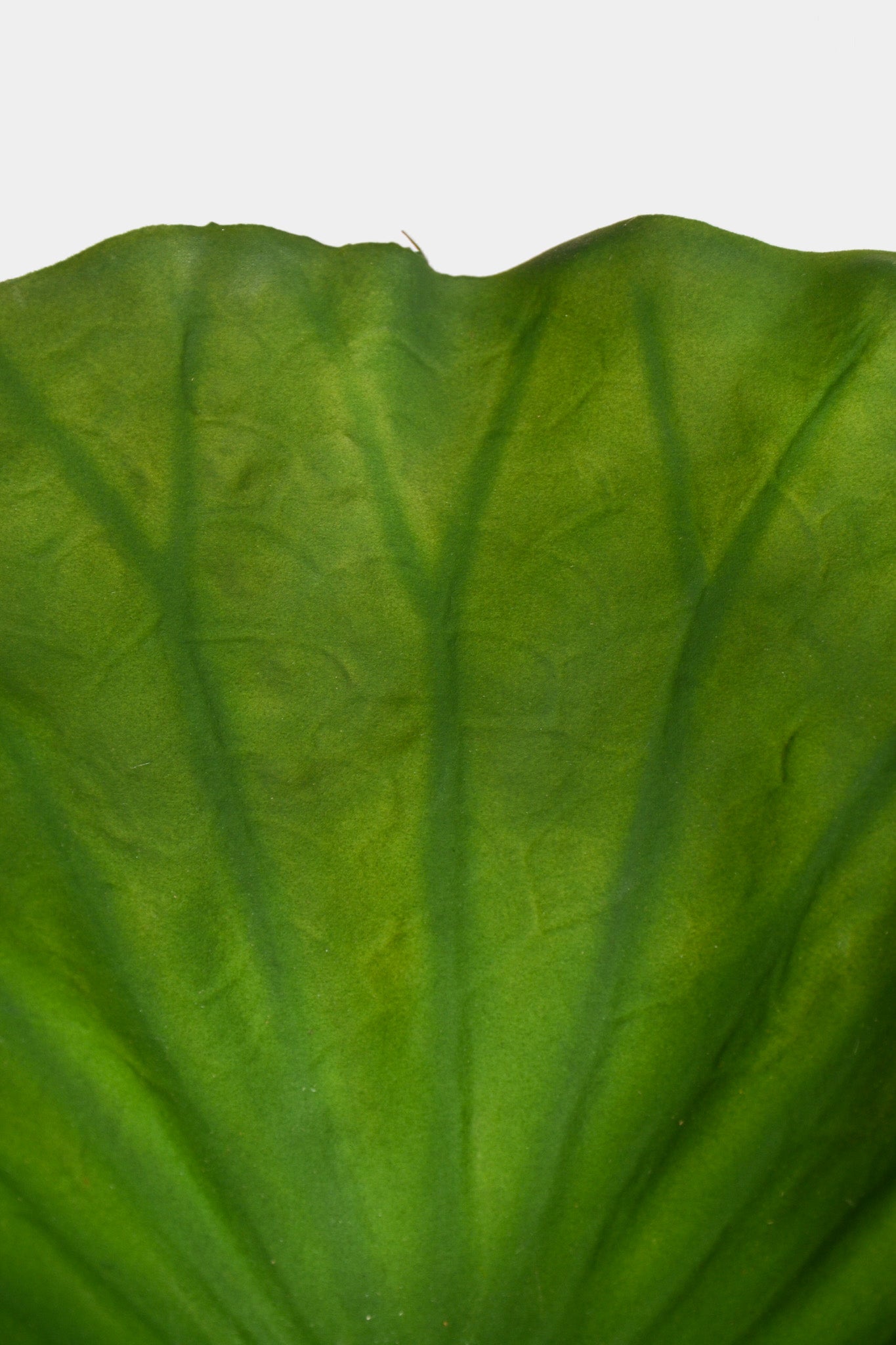 34.6" Artificial Lotus Leaf Stem Green