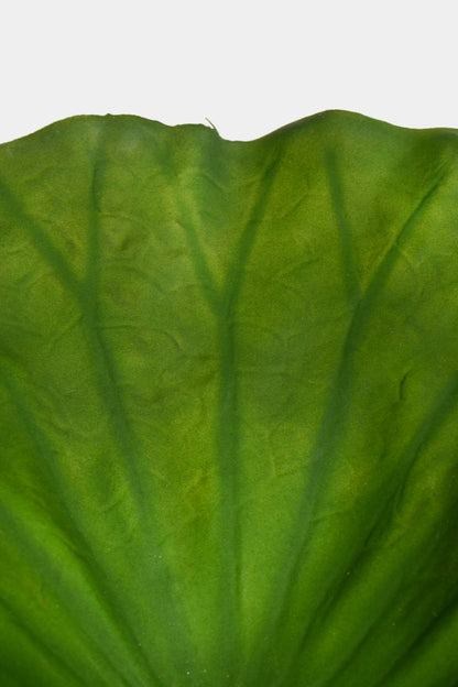 34.6" Artificial Lotus Leaf Stem Green