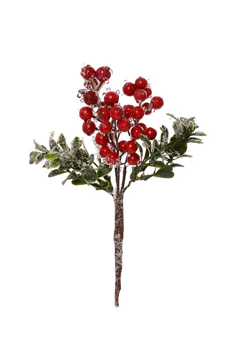 8" Iced Berry/Boxwood Pick Red