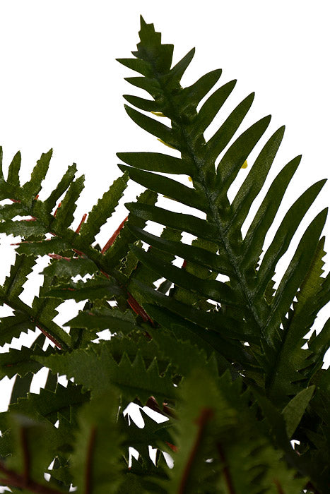 19" River Mixed Fern Green