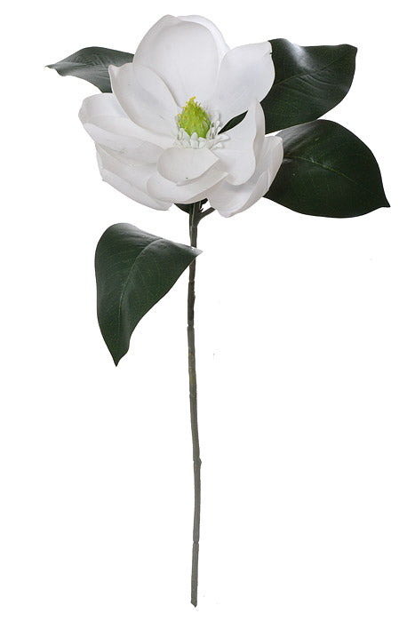 24" Silk Magnolia Spray White