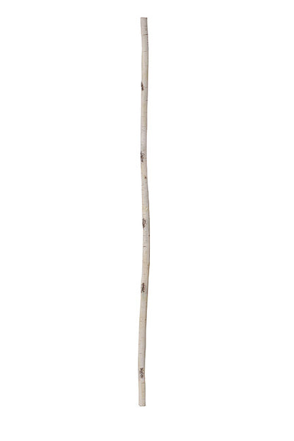 72" Wired Foam Birch Branch Garland Natural