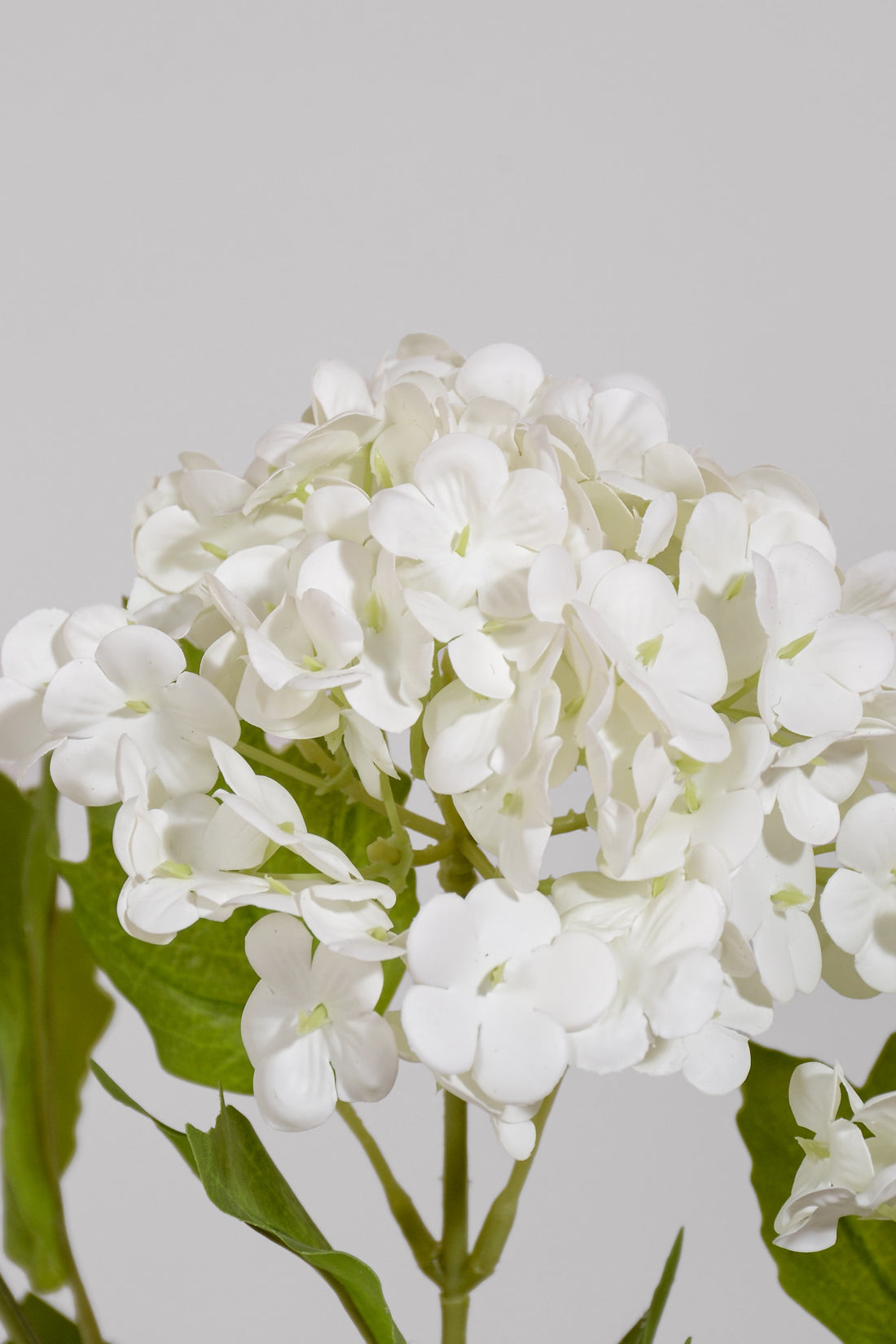 35" Snowball Spray White