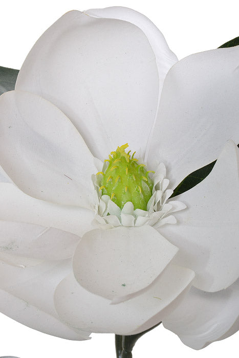 24" Silk Magnolia Spray White