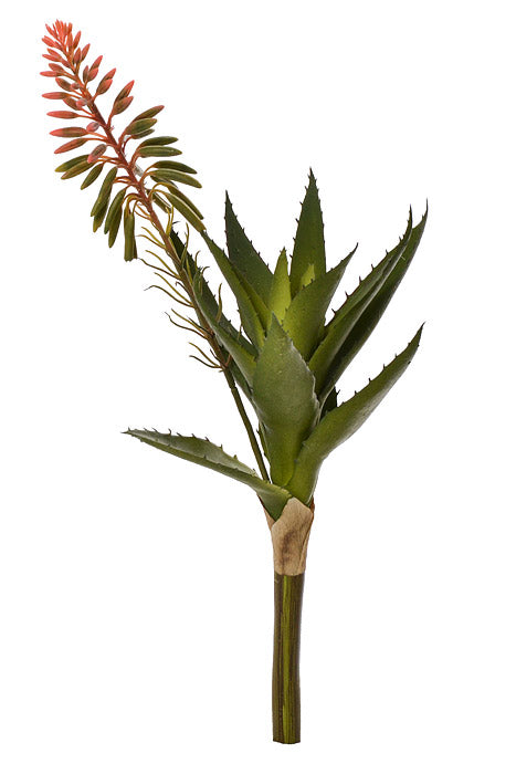 15" Blooming Agave Pick Pink/Green