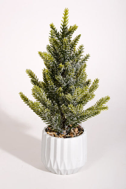 11" Snow Pine with Pot White/Green