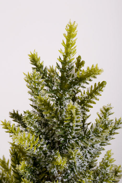 11" Snow Pine with Pot White/Green