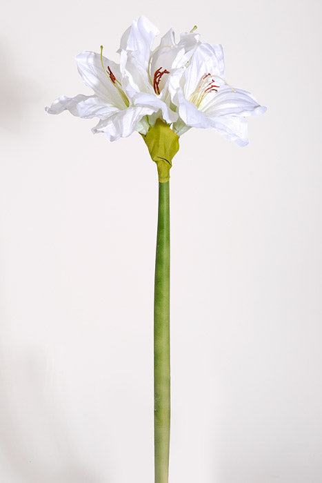 26" Silk Amaryllis White