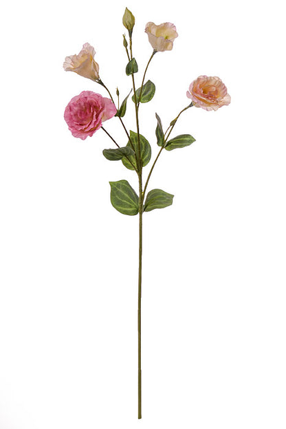 30" Silk Lisianthus Spray Pink Two Tones