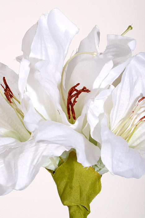 26" Silk Amaryllis White