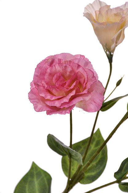 30" Silk Lisianthus Spray Pink Two Tones