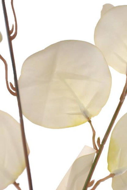 33" Eucalyptus Spray White