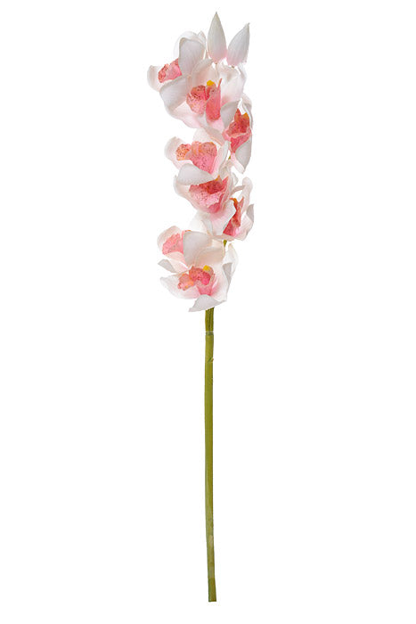 30" Cymbidium Stem Light Pink