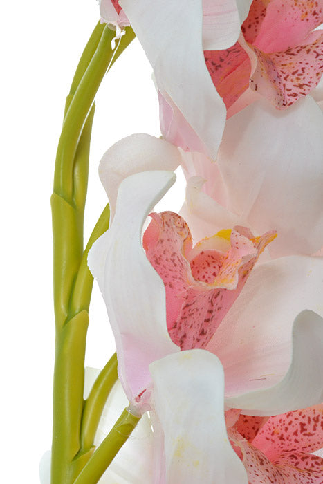 30" Cymbidium Stem Light Pink