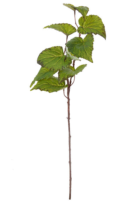 28" Begonia Leaf Spray Green