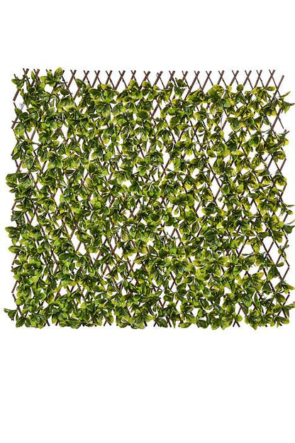 78 x 34" Stretchable  Fence Screen Eucalyptus Green