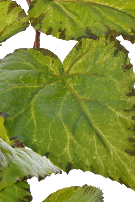 28" Begonia Leaf Spray Green