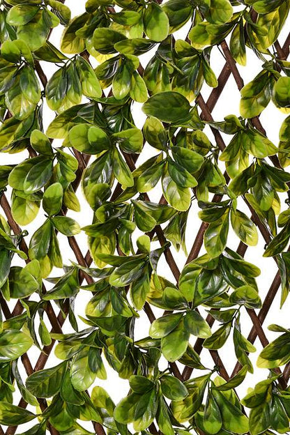 78 x 34" Stretchable  Fence Screen Eucalyptus Green